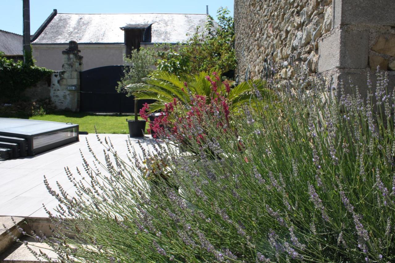 La Douce France Trianon Villa Chinon Exterior photo